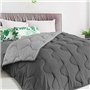 IDMarket - Couette 220x240 CM Abby Bicolore Gris Clair et Gris 300 GR
