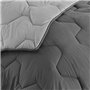 IDMarket - Couette 220x240 CM Abby Bicolore Gris Clair et Gris 300 GR