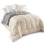 IDMarket - Couette 220x240 CM Zoe Polaire biface Gris et crème 400 GR