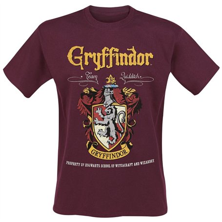Harry Potter Gryffondor Homme T-Shirt Manches Courtes Rouge L 100% Coton Regular/Coupe Standard
