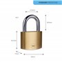 Yale Y110B/50/126/1 - Cadenas laiton 50 mm, anse acier cémenté, 3 clés - Pour Casier Scolaire Ecole, Vestiaire de Sport, Boîte à