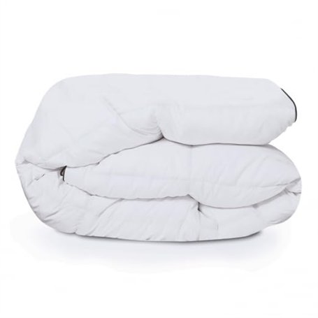 IDMarket - Couette 220x240 CM AELA Blanche en Plume d'oie Anti acarien 500 GR
