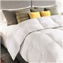 IDMarket - Couette 220x240 CM AELA Blanche en Plume d'oie Anti acarien 500 GR