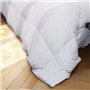 IDMarket - Couette 220x240 CM AELA Blanche en Plume d'oie Anti acarien 500 GR