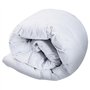 IDMarket - Couette 220x240 CM AELA Blanche en Plume d'oie Anti acarien 500 GR