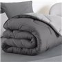 IDMarket - Couette 200x200 CM Abby Bicolore Gris Clair et Gris 300 GR