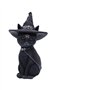 Nemesis Now Cult Cuties Purrah Figurine de Chat sorcière en résine Noir 30 cm