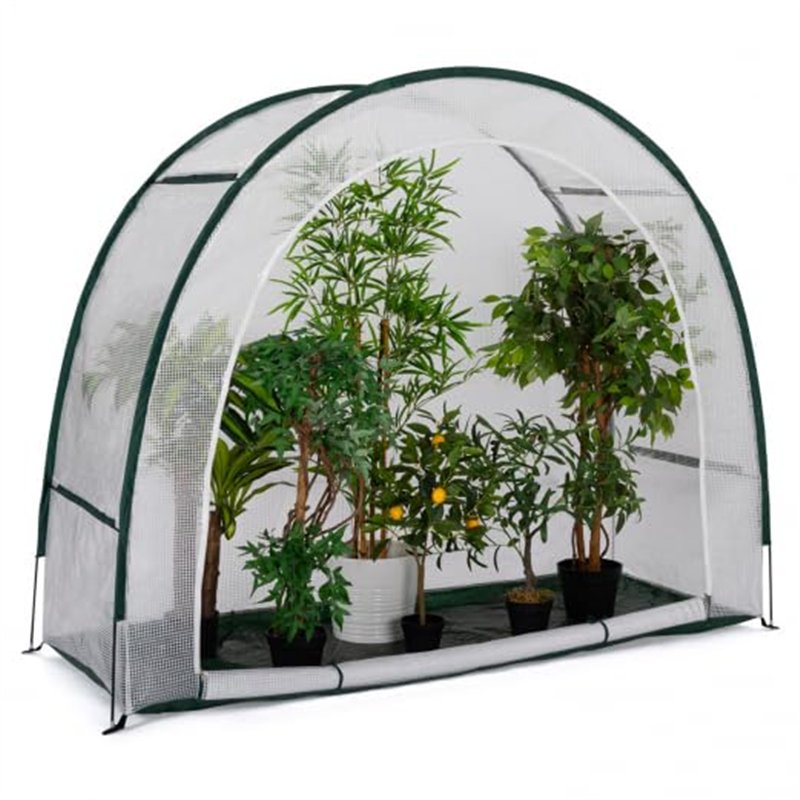 IDMarket - Serre d'hivernage Demi Lune 200 x 80 x 170 cm Balcon et terrasse