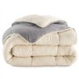 IDMarket - Couette 140x200 CM Zoe Polaire biface Gris et crème 400 GR