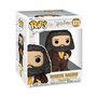 Funko Pop! Super: Harry Potter Prisoner of Azkaban - Rubeus Hagrid Animal Pelt Outfit - Figurine en Vinyle à Collectionner - Idé