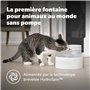 PetSafe Fontaine à Eau Outlast sans Pompe, 1,7 L, Fontaine à Eau pour Petits Chiens et Chats, Passe au Lave-Vaisselle, Assemblag