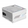 GIGABYTE AORUS Elite P1000W Ice Alimentation - PCIe 5.0, 80 Plus Platinum, Conception entièrement modulaire, Ventilateur de 120
