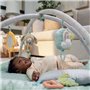 INGENUITY Tapis d'éveil au sol bébé Calm Spring Extra moelleux 6 jouets mutil sensoriels détachable