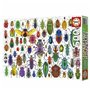Puzzle Educa Beetles