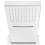 vidaXL Pomme de Douche Murale Pomme de Douchette Tête de Douche Pommeau de Douche Tête de Douchette Salle de Bain Acier Inoxydab