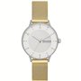 Montre Femme Skagen RIIS (Ø 36 mm)