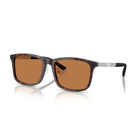Lunettes de soleil Homme Emporio Armani EA 4241D