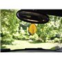 Carlinea 190055 Air Nature Carte Vanille