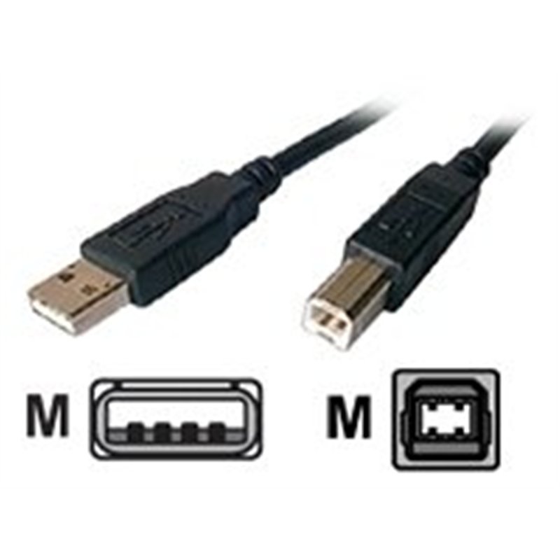 Dexlan Cordon High speed USB 2.0 type AB M/M Noir 1,8 m