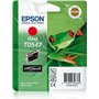 Epson Cartouche Grenouille - Encre UltraChrome Hi-Gloss R