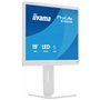 iiyama Moniteur de Bureau, B1980S-W1-19, TN, 1280 x 1024/75 Hz, 1H1DP, Has