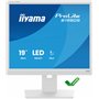 iiyama Moniteur de Bureau, B1980S-W1-19, TN, 1280 x 1024/75 Hz, 1H1DP, Has