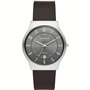 Montre Homme Skagen SUNDBY TITANIUM (Ø 40 mm)