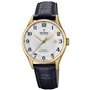 Festina Casual Watch F20010/1