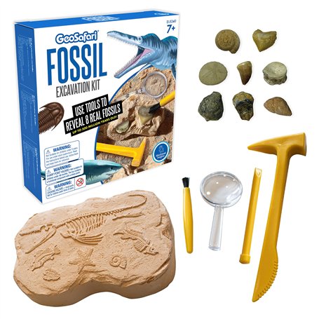 Learning Resources Kit d’excavation de fossiles GeoSafari