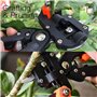 Ciseaux de Greffage Professionnels, Parfaits pour le Jardinage, l’élagage et le Greffage d’Arbres Fruitiers et de Plantes