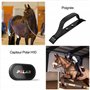 Polar Mixte Equine Cardiofréquencemètre Cardiofr quencem Tres pour Cheval, Noir, Taille Unique EU