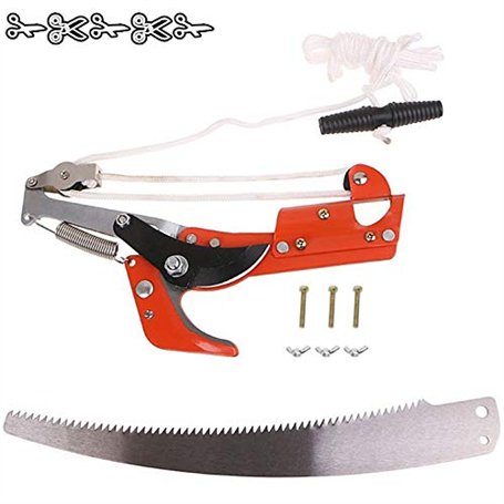 Élagage de cisailles de jardin