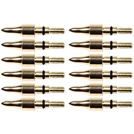 Namvo 12pcs 100grn Vis Noire dans la Pratique Pointes de flèches