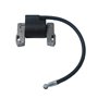 Beehive Filter Carkio Remplacer la Bobine d'allumage pour Briggs & Stratton Magneto Armature 495859 491312 490586 492341 Nouveau