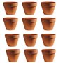 Molyorch 12 pièces Pot en Terre Cuite de Succulent Cactus