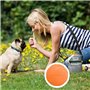 WENYIEN 3 Pièces Frisbees pour Chien,Pet Soucoupe Volante,Disque Volant en Caoutchouc, Jouet interactif en Plein air,7 Pouces / 
