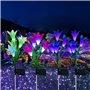 couleurs changeantes avec 16 fleurs de lys solaires plus grandes
