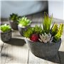 Jobary Ensemble de 5 Pots artificiels Succulents (Comprenant 10 Plantes), Faux Plantes succulentes colorées et décoratives avec 