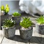 Jobary Ensemble de 5 Pots artificiels Succulents (Comprenant 10 Plantes), Faux Plantes succulentes colorées et décoratives avec 