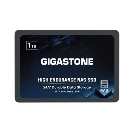 GIGASTONE SSD 1To NAS SSD Disque 24 h/24