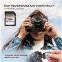 Gigastone Carte Mémoire SDXC 128 Go, 4K Caméra Pro Série, Vitesse de Transfert allant jusqu'à 100 Mo/s. Compatible avec Canon Ni