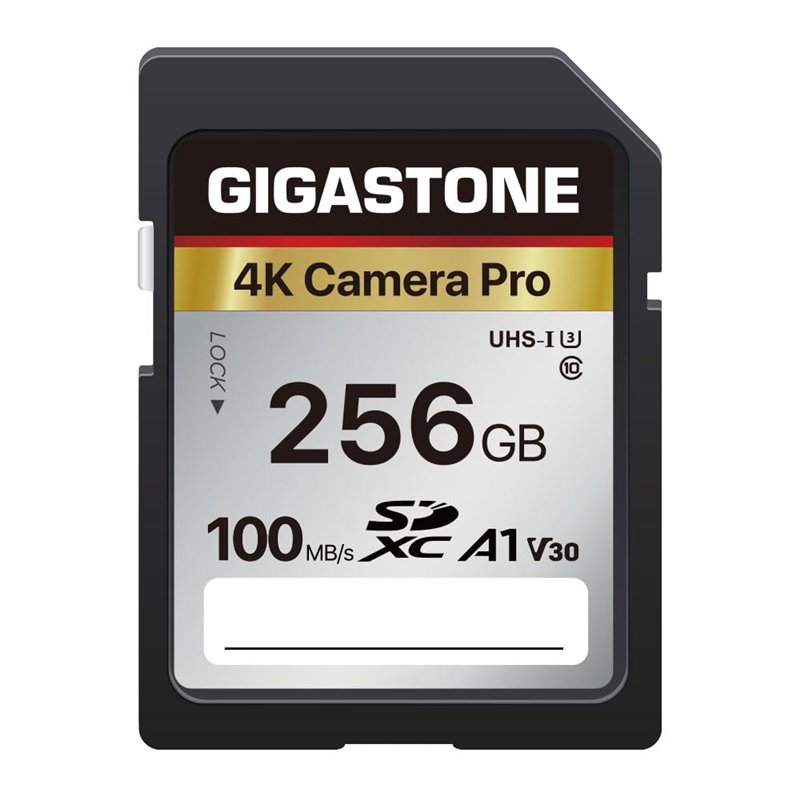 Gigastone Carte Mémoire SDXC 256 Go, 4K Pro Série, Vitesse de Transfert allant jusqu'à 100 Mo/s. Compatible avec Caméra Canon Ni