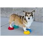 DOG Copenhagen FitPAWS Paw Pods avec Antidérapant pour Chien