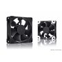 Noctua NF-A8 PWM chromax.black.swap, Ventilateur Silencieux Haut de Gamme, 4 Broches (80 mm, Noir)