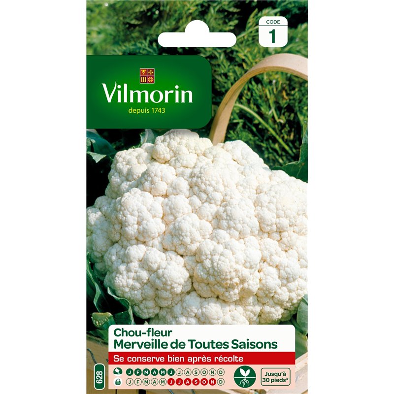 Vilmorin 3353141 Chou Fleur Merveille, Blanc, 90 x 2 x 140 cm