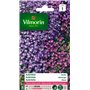 Vilmorin- Aubriéta en mélange - semences pour plantations - Fleurs Basses 15 cm vivaces - fleurit Chaque année - Floraison préco