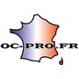 OC-PRO Pinces (+ et -) DE DEMARRAGE Laiton 300 AMPERES LOT 2 Pinces