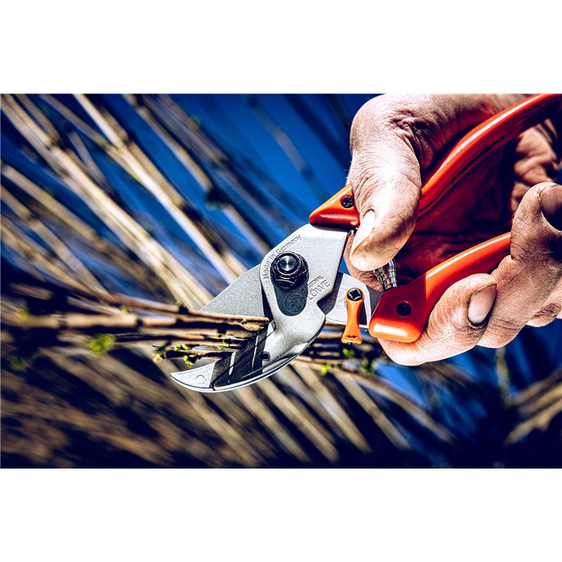 Image secondaire de Sécateur LÖWE 8.107