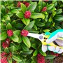 GRÜNTEK Sécateur à Fleurs Bonsai Plantes. Ciseaux pour Fleuriste et Jardinage Colibri a lame Longue en acier SK5