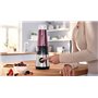 Bosch VitaPower MMB2111MG Mini Blender Série 2 450 W - Inox